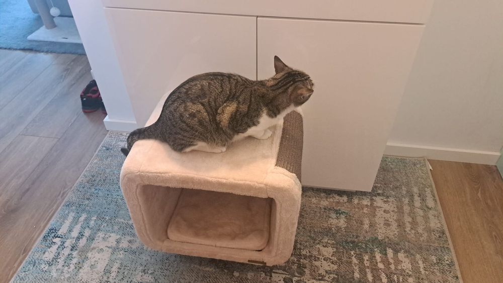 Cama/ ninho para gato