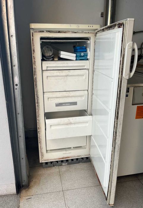 Congelador Vertical Funcional – Ideal Garagem/Arrecadação (Barato)