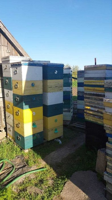 Продам вулики і все що треба для пасіки