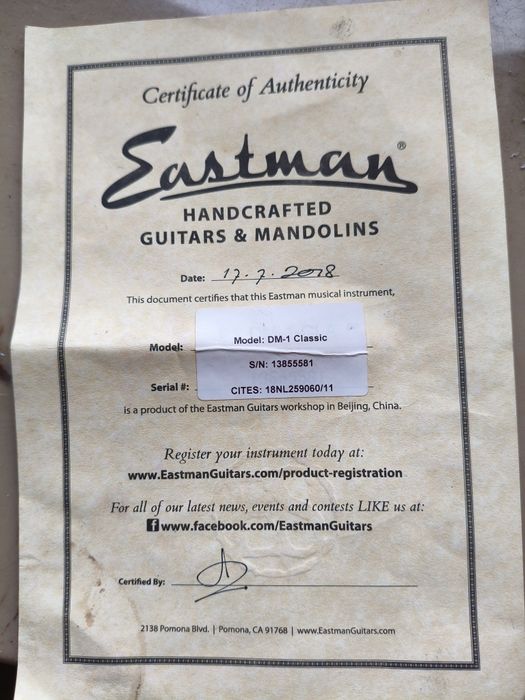 Eastman DM1 Classic gitara gypsy
