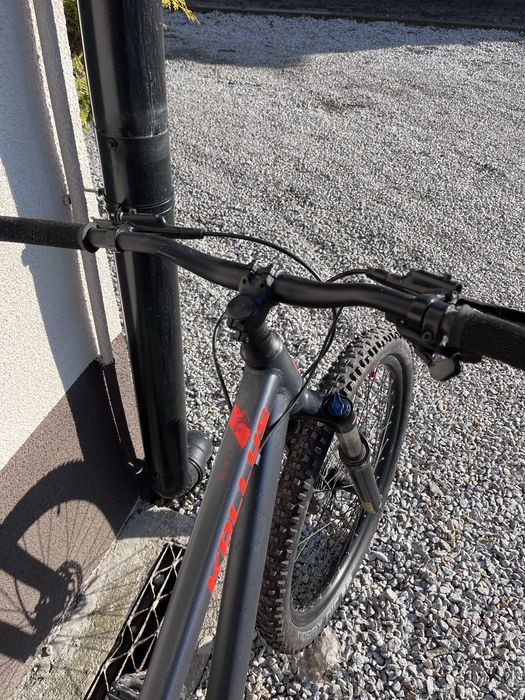 Kellys whip 50 rower dirt