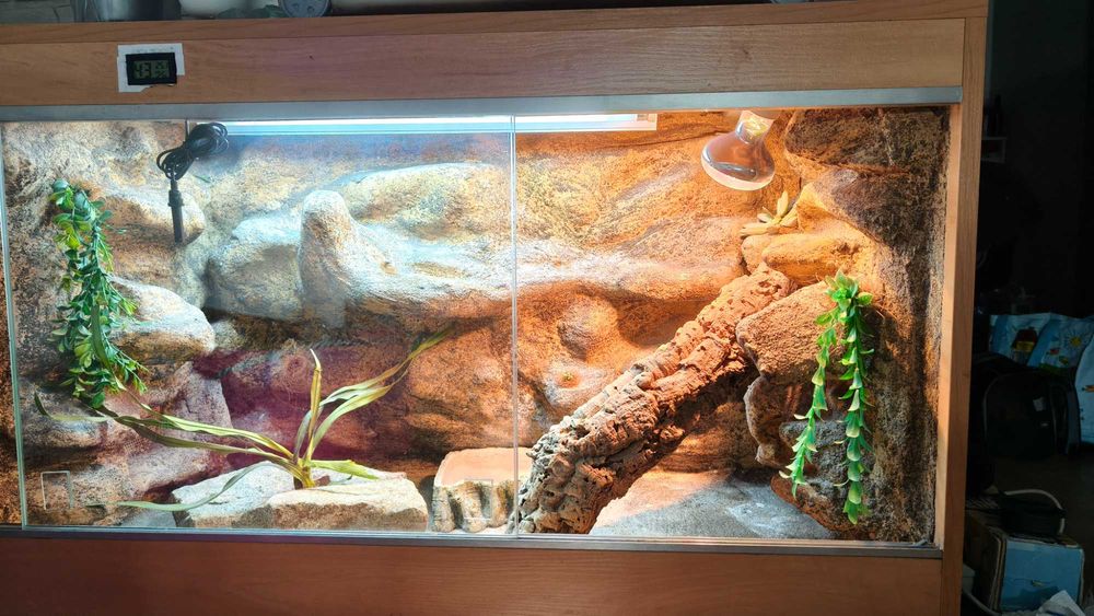 Terrarium używane w dobrym stanie