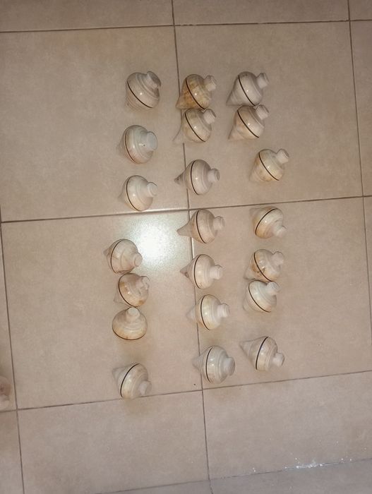 Piões em madeira