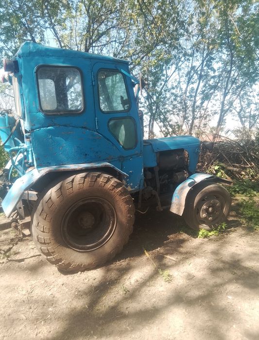 Т 25 , газоеовський міст