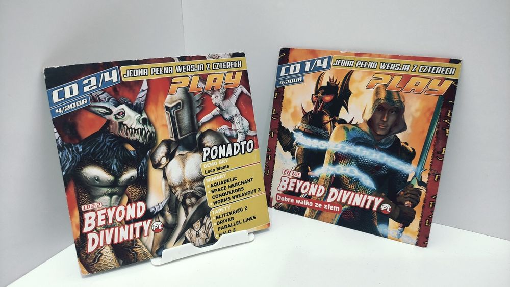 Beyond Divinity PC PL gra