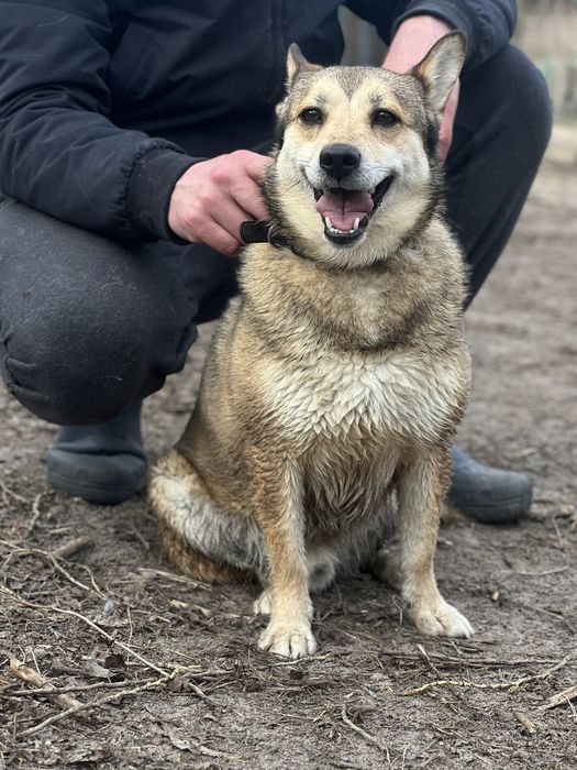 Українець з іспанським серцем шукає сімʼю!