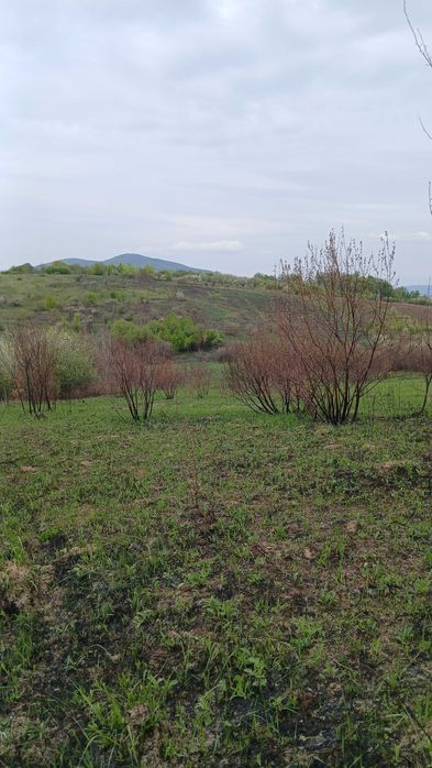 Продається земельна ділянка!