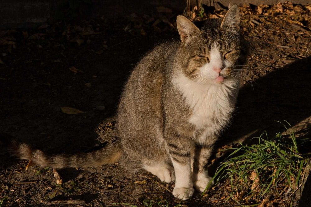 Serduszko Jasia cicho i pokornie czeka...