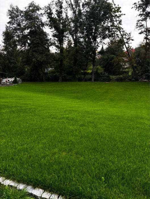 Ziemia ogrodowa czarnoziem ziemia pod trawnik kompost