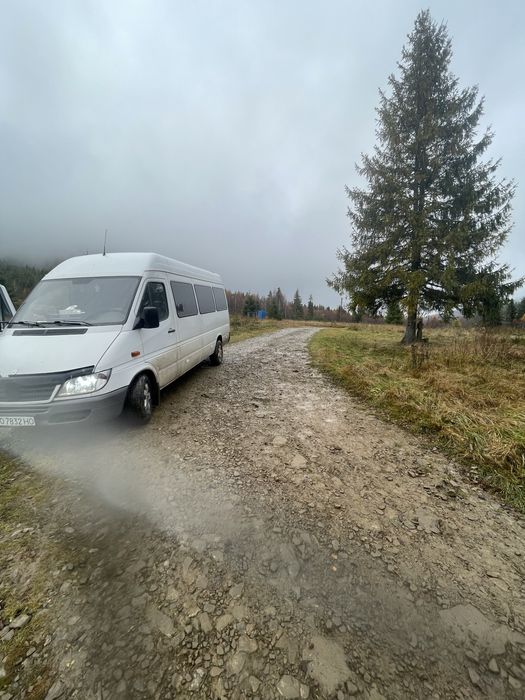 Mercedes Sprinter 313cdi