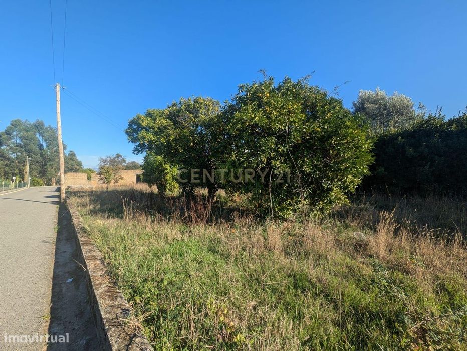 Terreno com 1700 m2 3m Oiã - Oliveira do Bairro- Excelente Localização