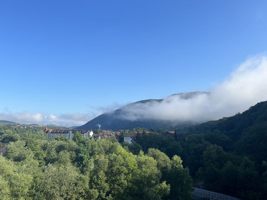 Відпочинок  від тривог ,в теплі та зі світлом ‼️Закарпаття  ‼️Свалява