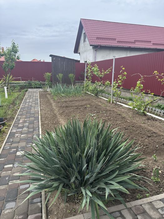 Дом по адресу Петефі Шандора пл. (площадь 205 м²) - Atlanta.ua - фото 14