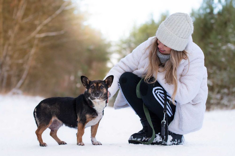 Yamarica: łagodna i spokojna słodzinka