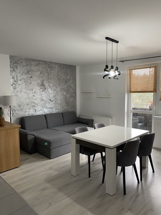 Mieszkanie - wynajem