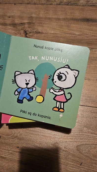 Książeczki Kicia Kocia zestaw 22 szt.