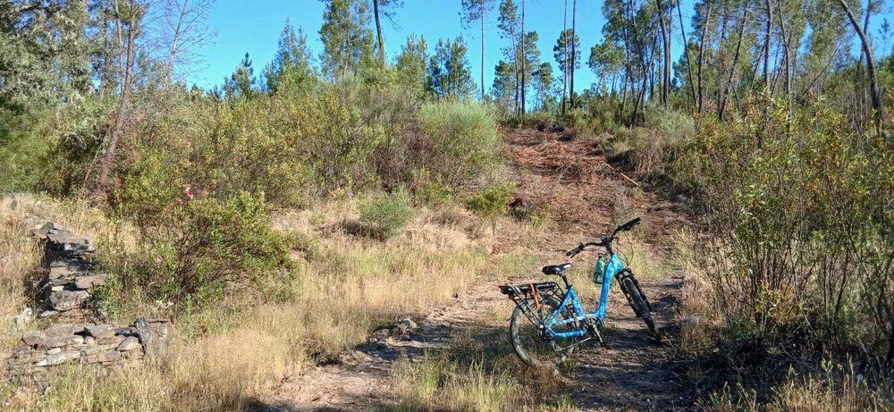 Terrano Rustico a venda || Rustic/Off-Grid Land for Sale