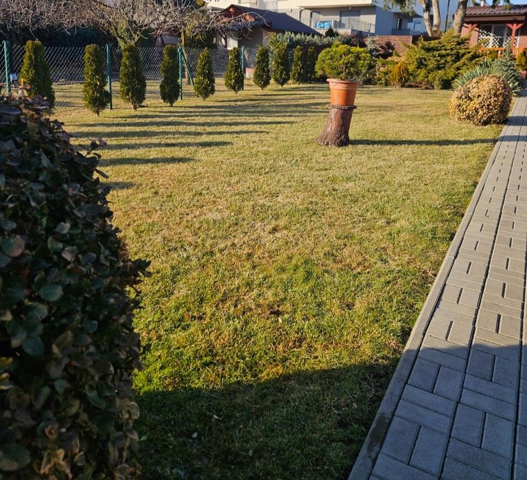 Dzialka ROD centrum Nowa cena ! Do negocjacji dla zdecydowanych !