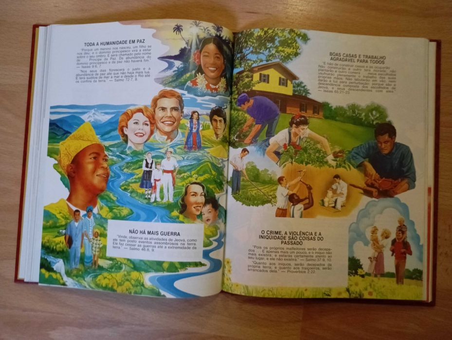 5 livros Bíblicos de capa rija