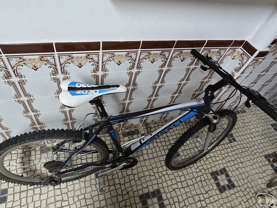 Bicicleta Minali