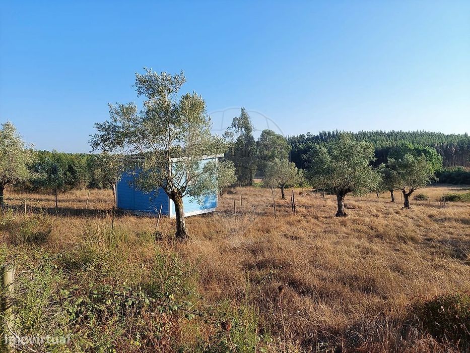 Terreno  para venda