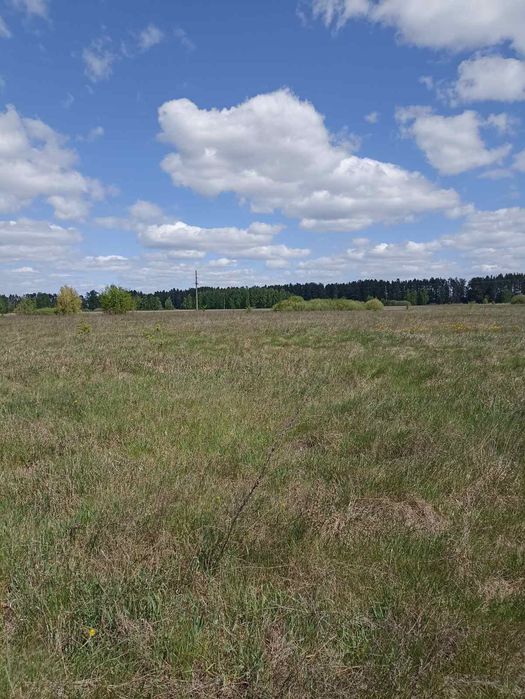 Ділянка під буд-во, 0,1125 га, с. Свидівок, вул. Зелена (п3)