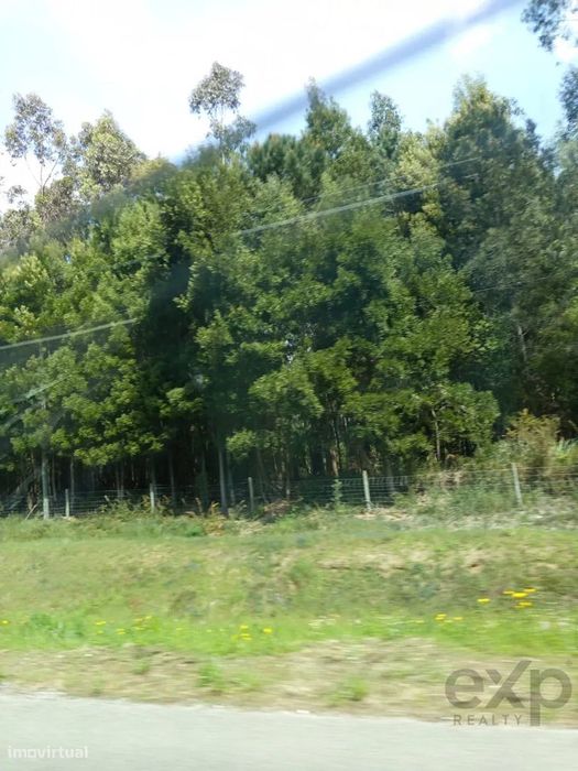 Terreno com 16 Hectares em Nelas