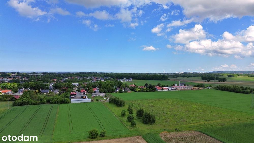 Działki z WZ w Nowych Bielicach 90 zł/ m² - Widok 5