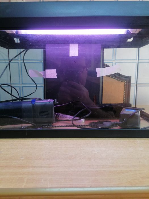 Aquário para peixes