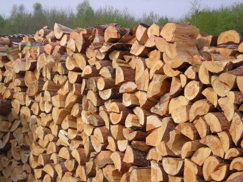 DrewKom drewno opałowe SOSNA pocięta i połupana Wronki Szamotuły