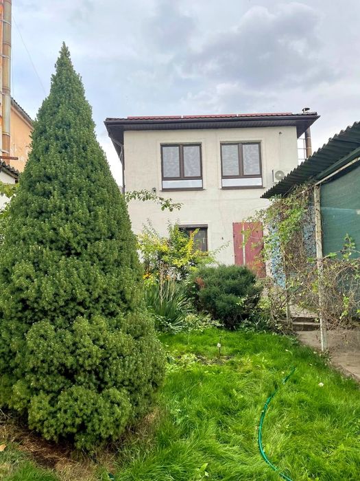 Продам дом в Александровке, Одинковка, левый берег Днепра, возм. ваучер.