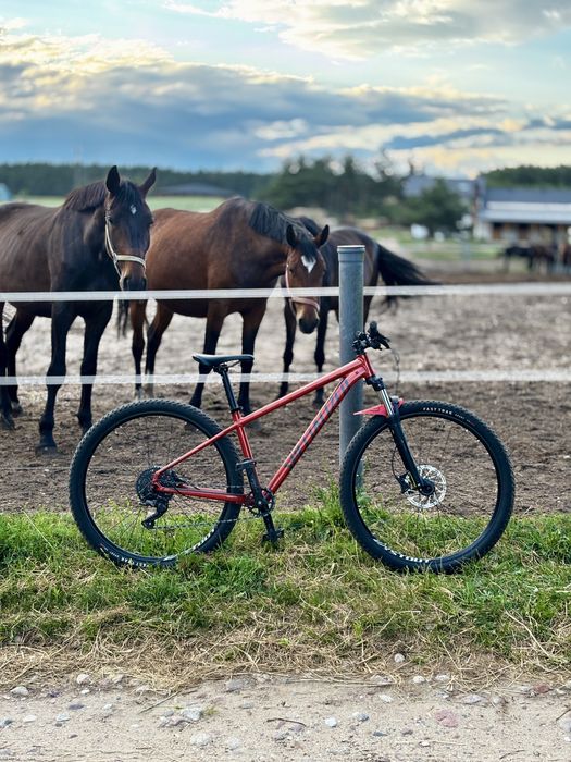 Specialized Rockhopper Comp M-29