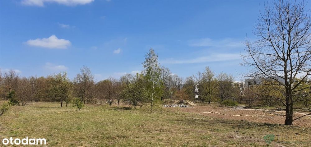 Działka, Marki