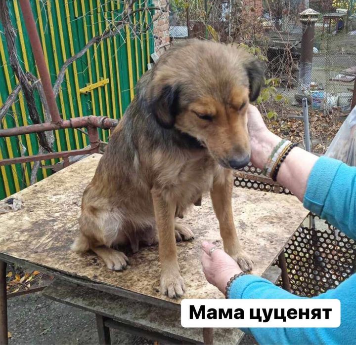 Хлопчики і дівчата. Вік 2 місяці. Обирайте