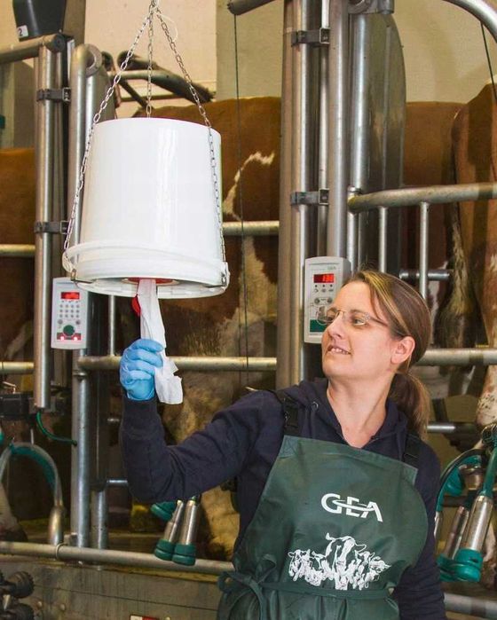 Ręczniki Chusteczki Papier Do Wymion Mokre 800szt, w wiaderku