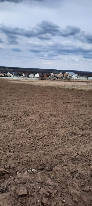 Продам земельну ділянку в селі Шкарівка
