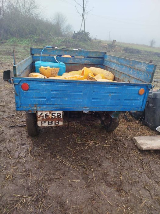 Продам муровей з документами