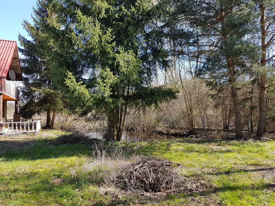 Sprzedam dom z budynkami gospodarczymi