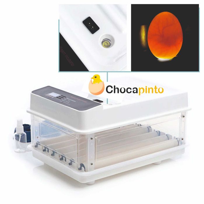 Chocadeira / Incubadora 24ovos + Criadeira