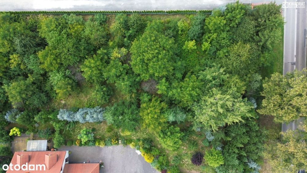 Tomaszowice Kolonia - 26 ar przy Nałęczowskiej