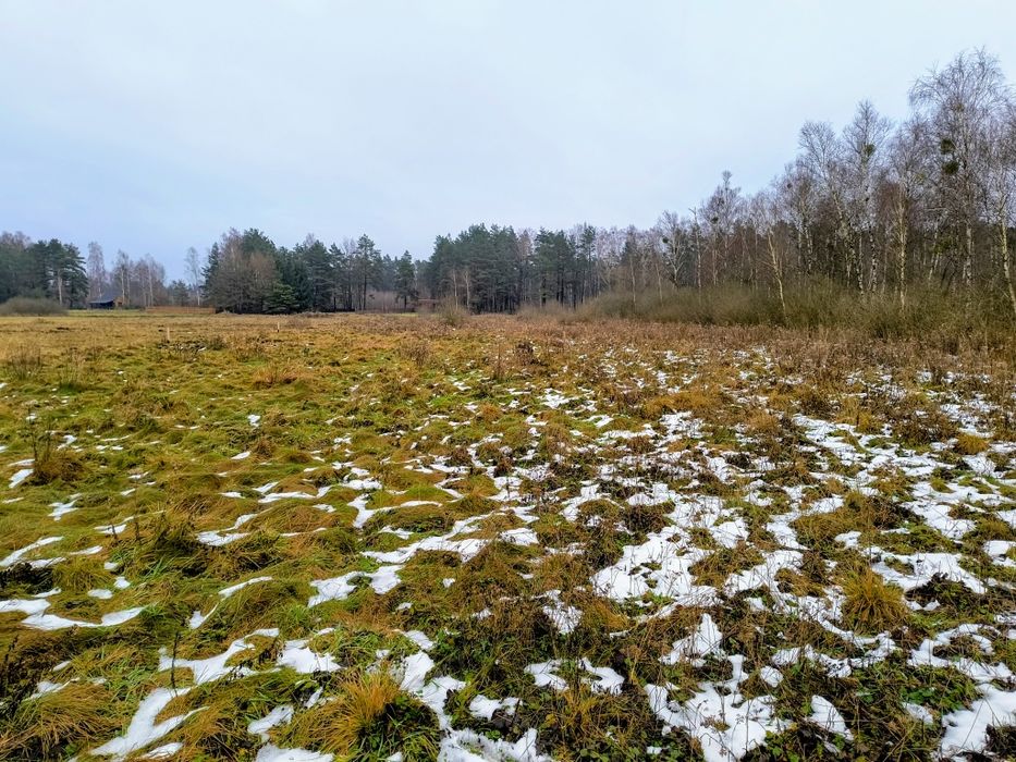 Działka rekreacyjna 3004 m2 w Karwiku, jezioro Seksty, Mazury