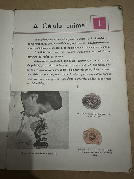 Livro antigo compêndio de zoologia
