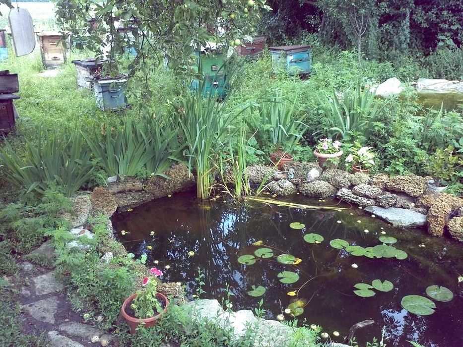 пчелосемьи, пакеты