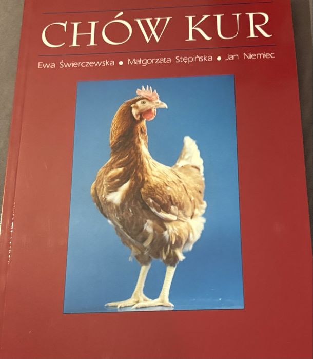 Książka Chów Kur