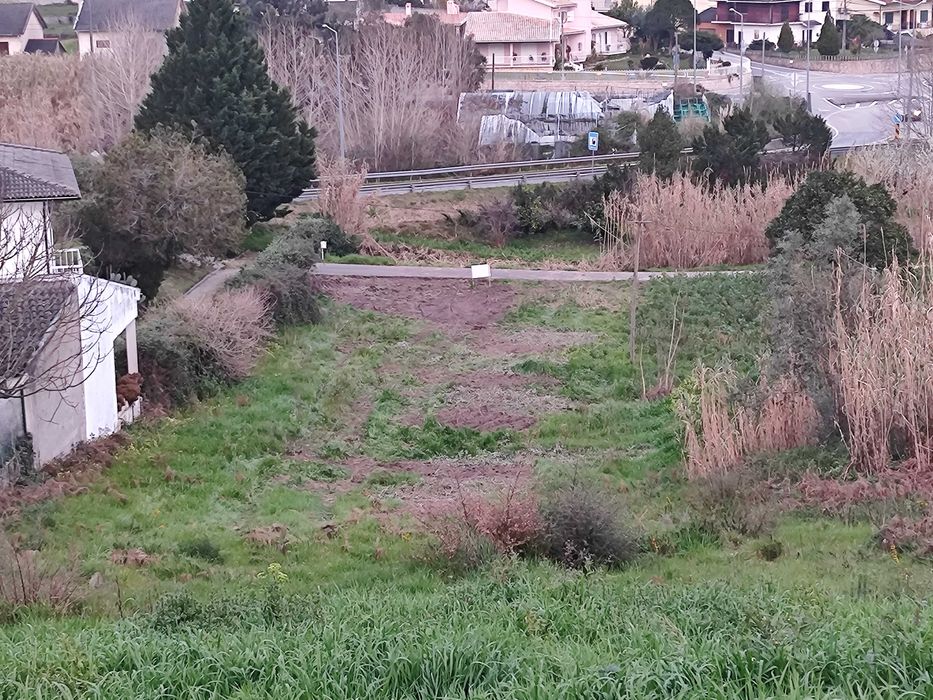 Terreno em Ançã.