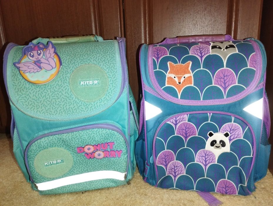 Шкільний рюкзак портфель (для двійні)