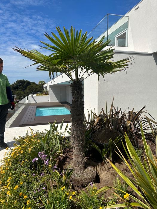 Servicos de jardinagem