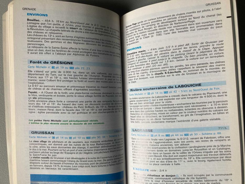 Guide de Tourisme Michelin - Pyrénées