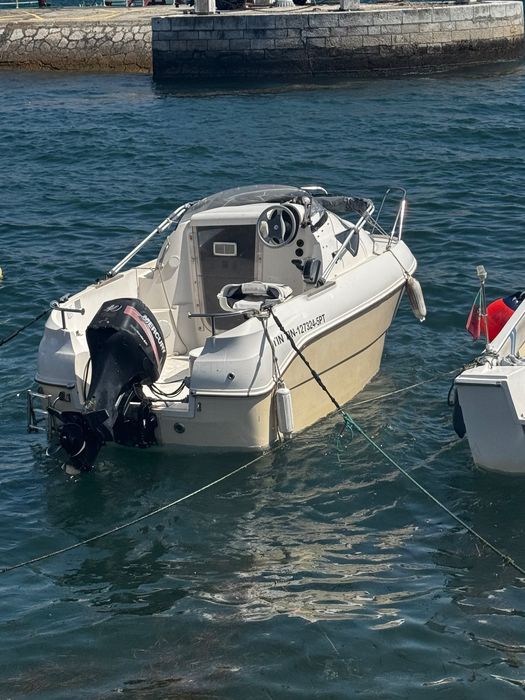 Quicksilver 460 40HP 4T