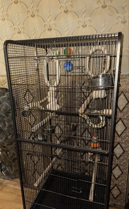 Клітка для різних видів папуг